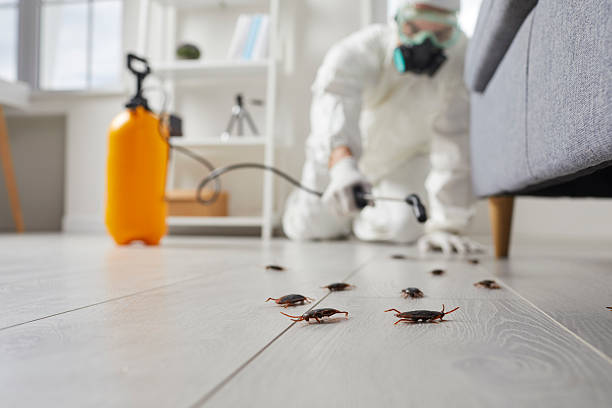 Affordable Bed Bug Control solutions in Brandermill, VA