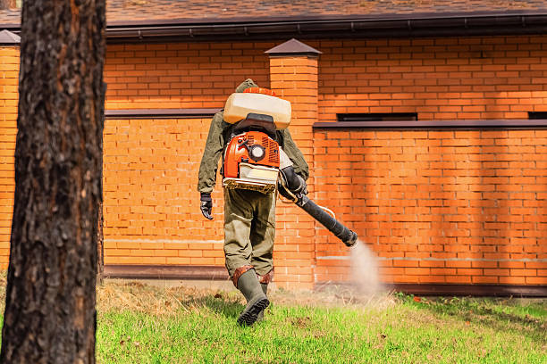 Top rated local Bed Bug Control specialists in Brandermill, VA